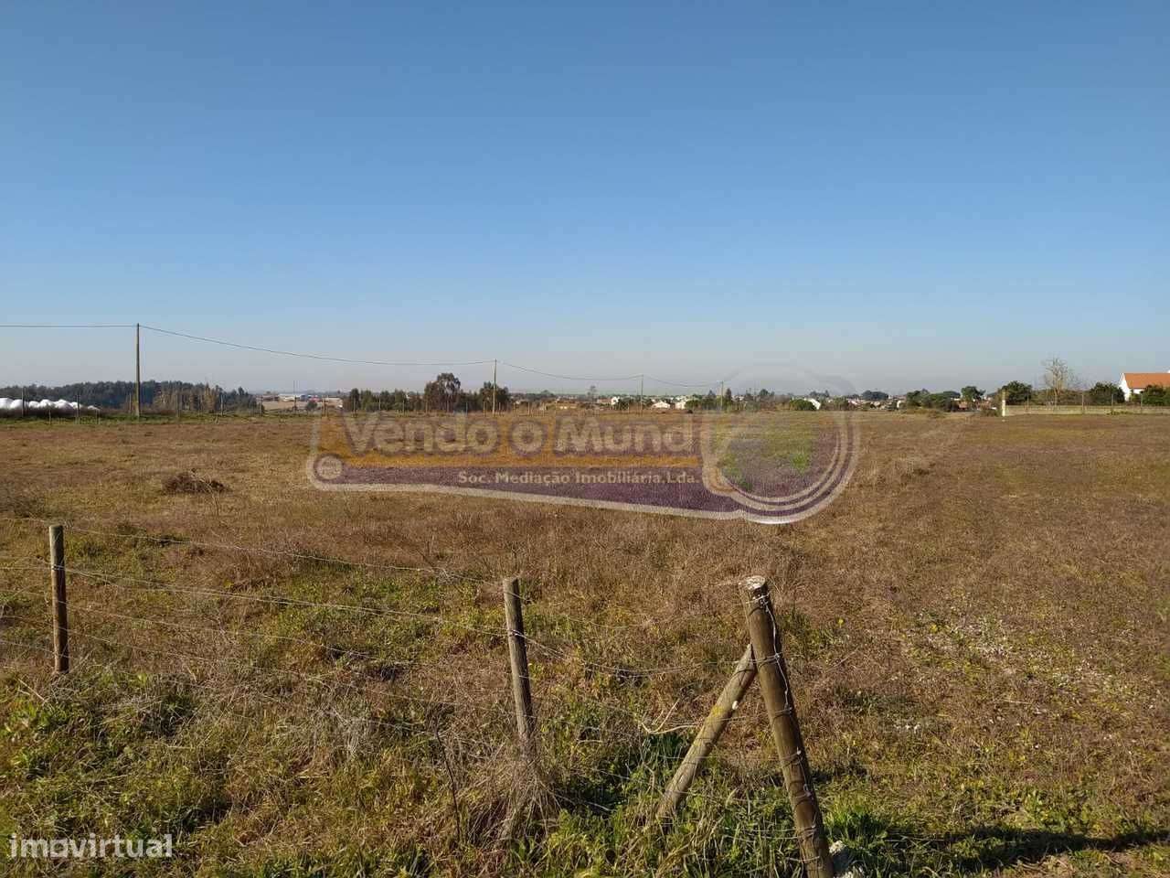 Terreno em Foros de Salvaterra (F615) - Grande imagem: 3/12