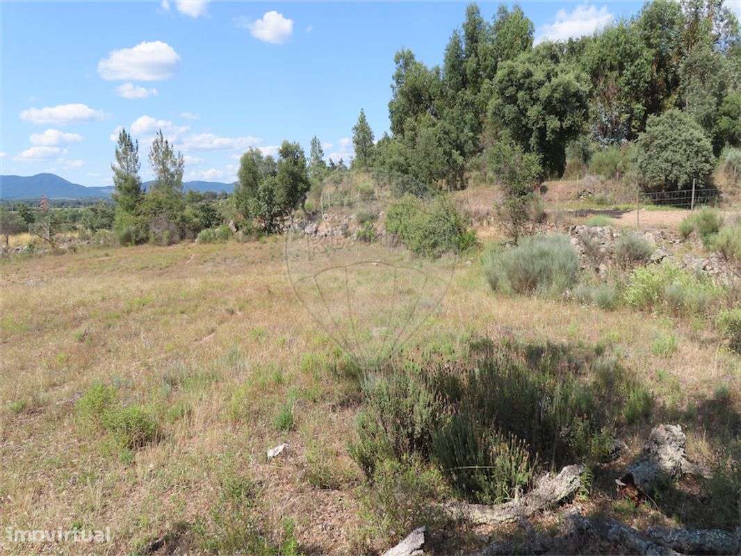 Quinta  para venda - Grande imagem: 3/22