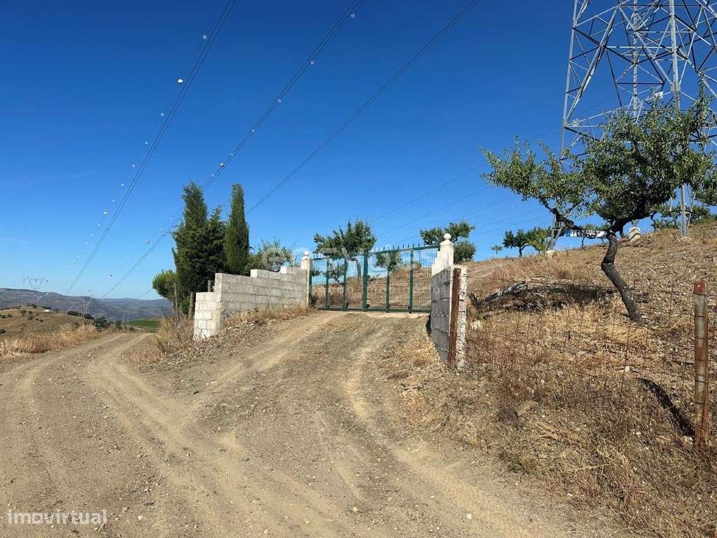 Magnifico Terreno Agrícola com 226810 m2 na região do Douro Superior. - Grande imagem: 3/22