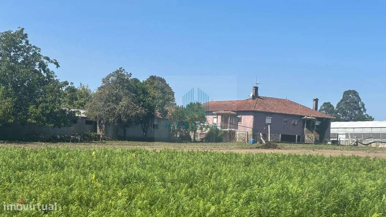 QUINTA EM VALENÇA COM 17.000 M2 DE ÁREA - Grande imagem: 3/32