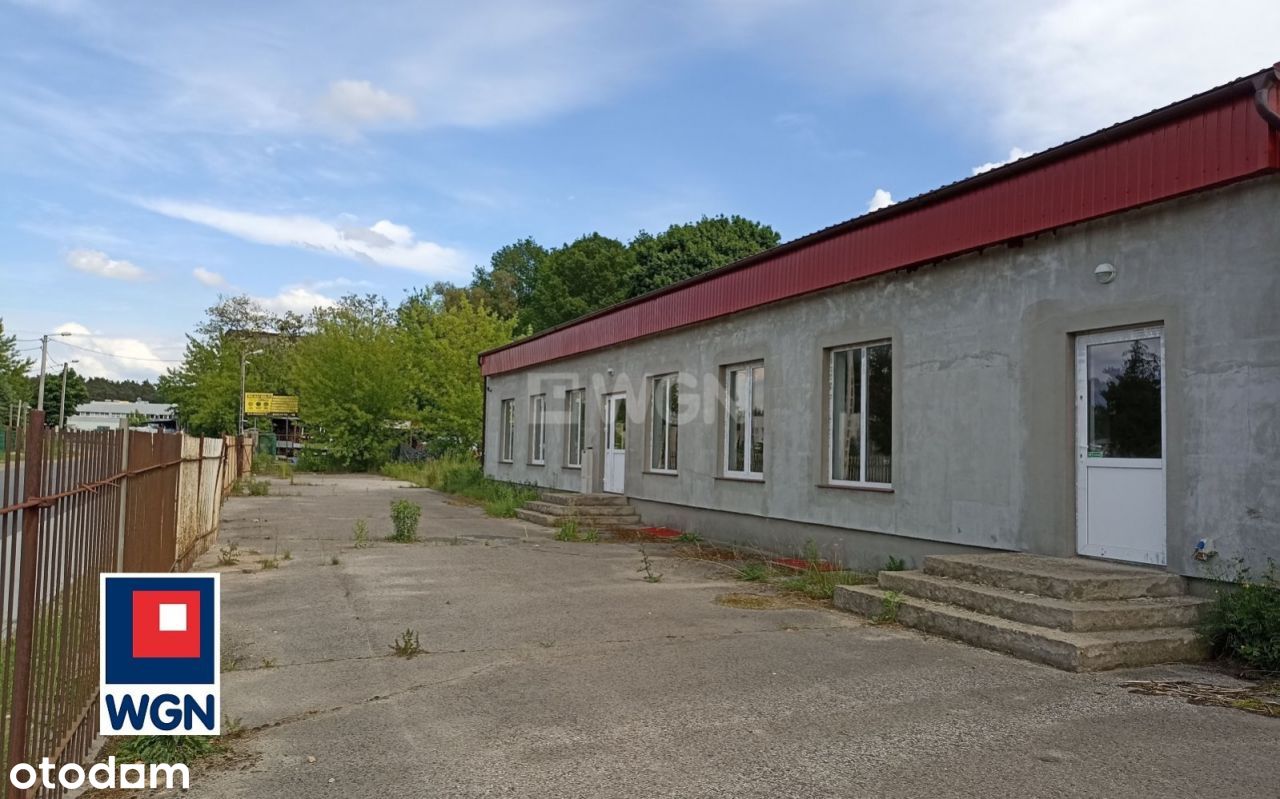 Lokal użytkowy, 250 m², Brodnica