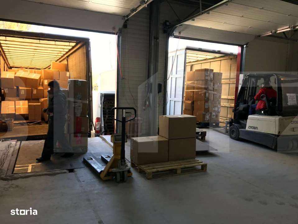 Hala gata de mutat , Calea Baciului - Imagine principală: 5/19