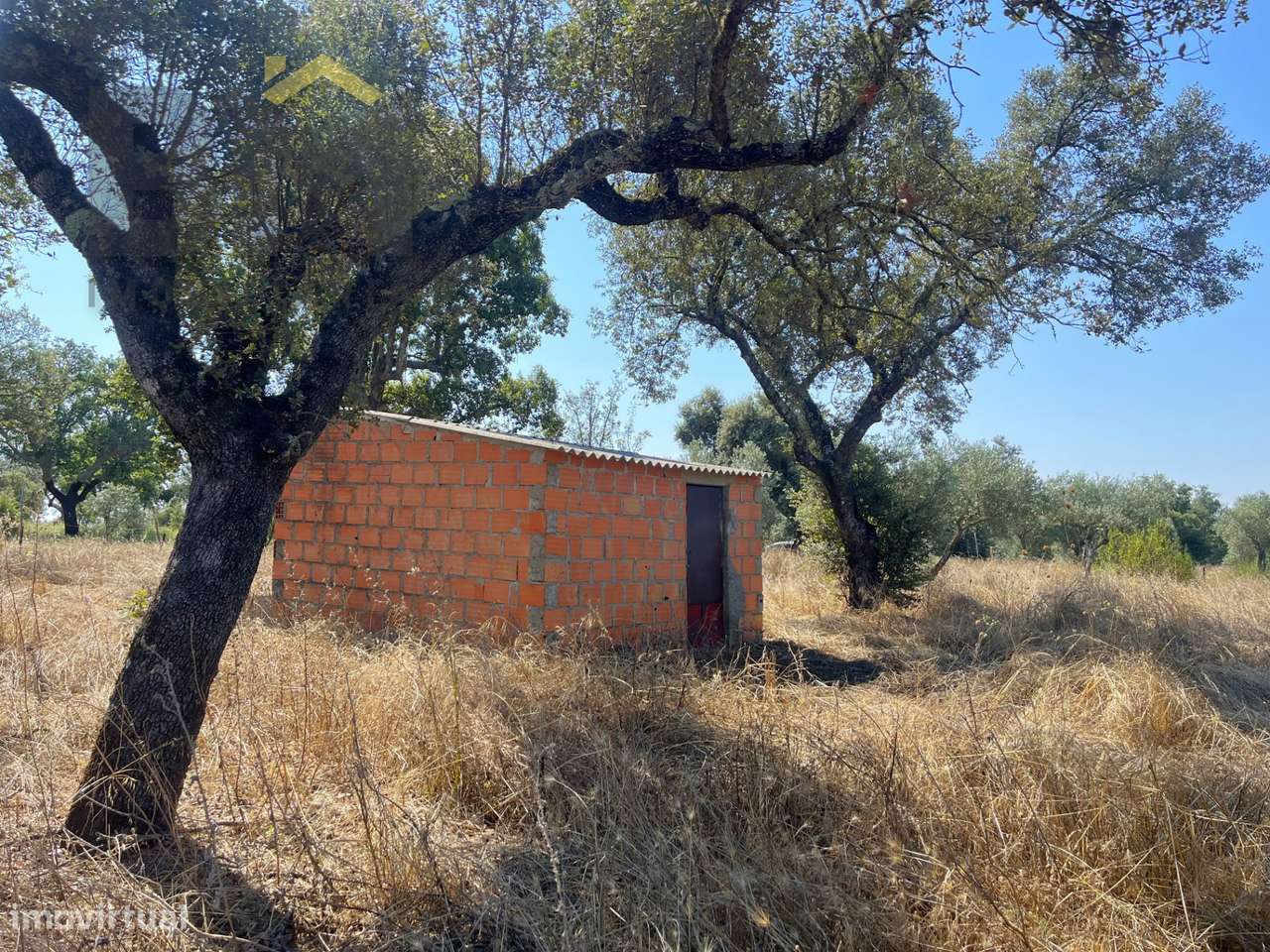 Terreno Rústico  Venda em Toulões,Idanha-a-Nova - Grande imagem: 5/18