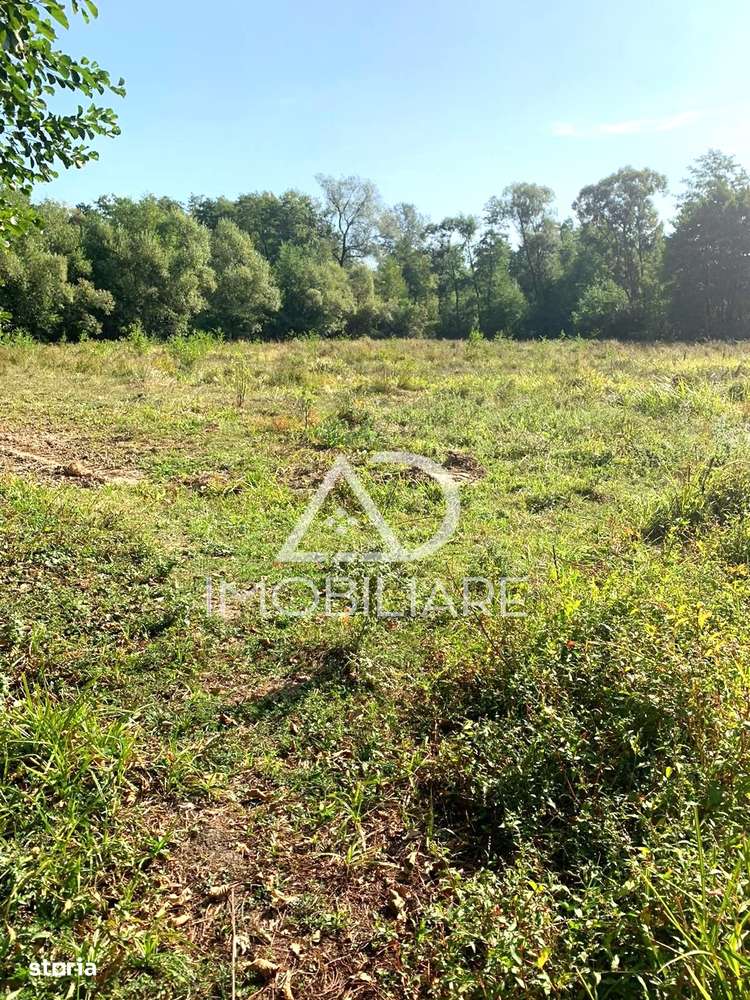 Teren intravilan de vanzare in Polovragi - Imagine principală: 4/5