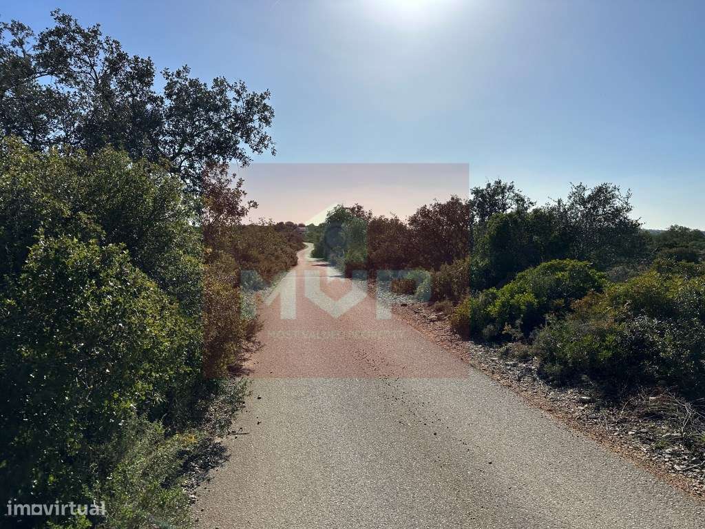 Terreno rústico em Estoi - Grande imagem: 5/10