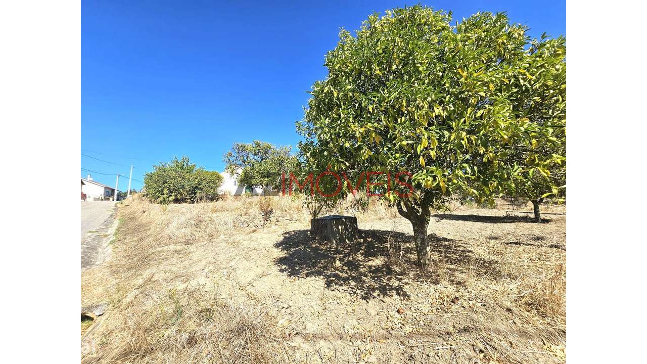 Moradia Rústica T2+1 Terreno com 3.480m2-38