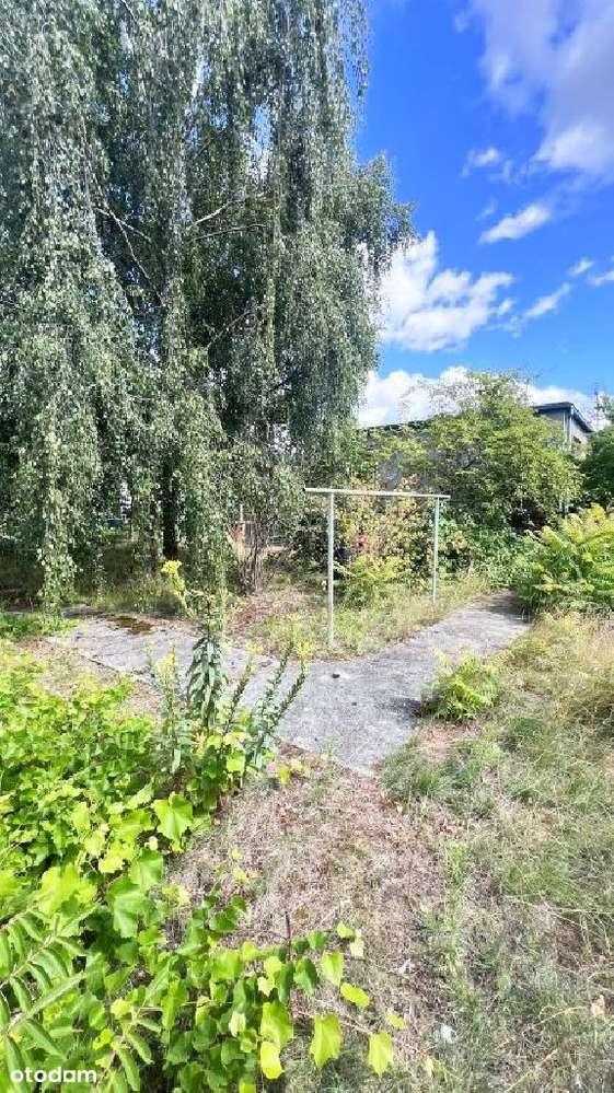 Wrzosy blisko lasu duża działka z domem do remontu-11