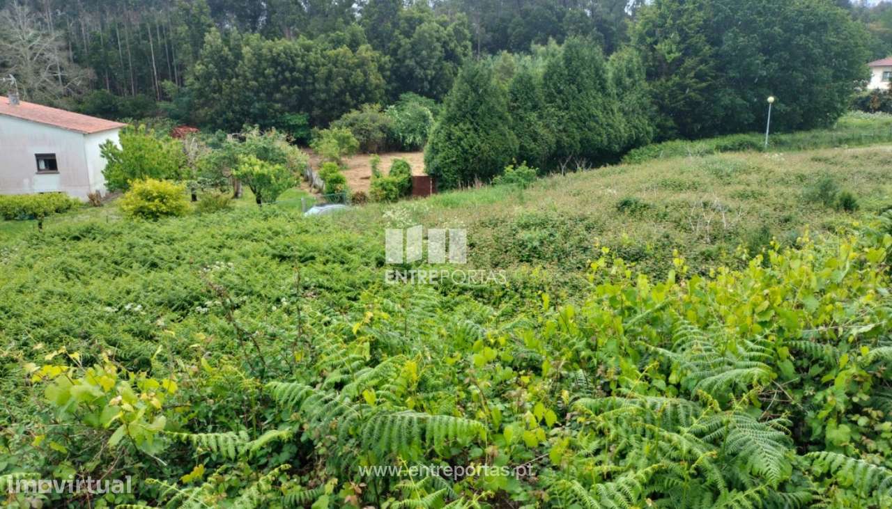 Terreno de construção para venda, Venade, Caminha - Grande imagem: 4/11
