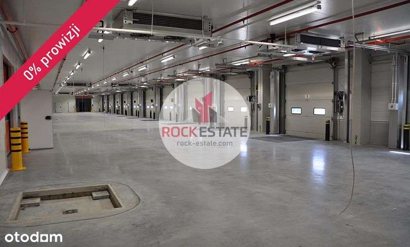 Magazyn Łódź 4800 m2 na wynajem - 0% prowizji - Pełny obrazek: 4/4