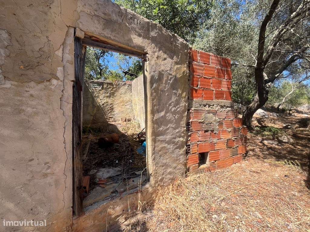 Quinta com duas casas, vistas para o mar e 11.940 m² de terreno em ...-42