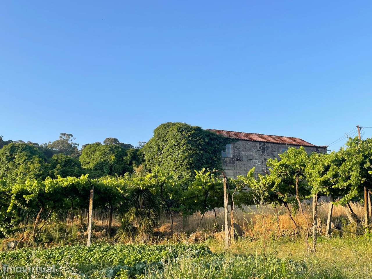 Moradia T3 - Grande imagem: 4/12