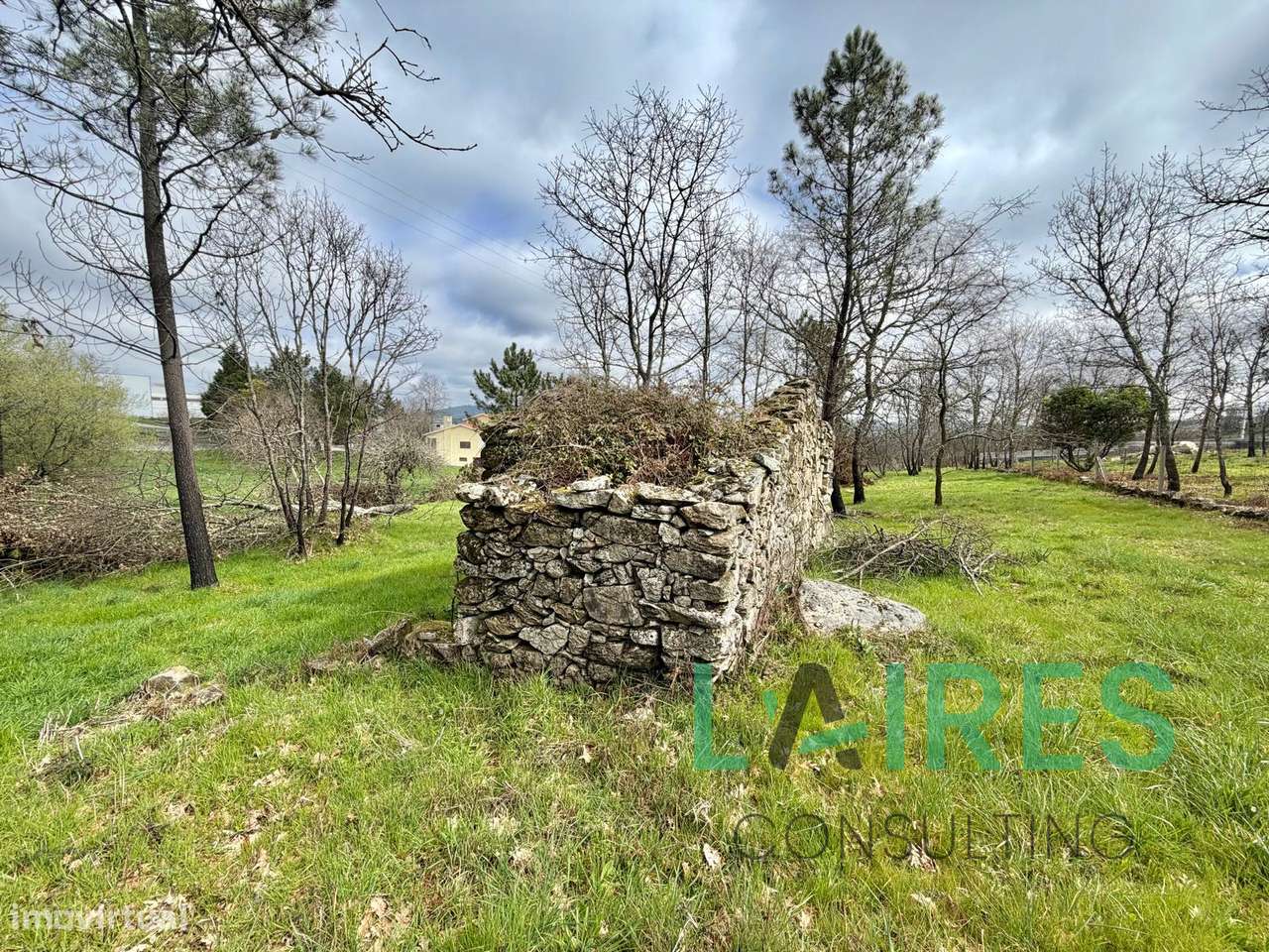 Terreno para construção - Mangualde-6