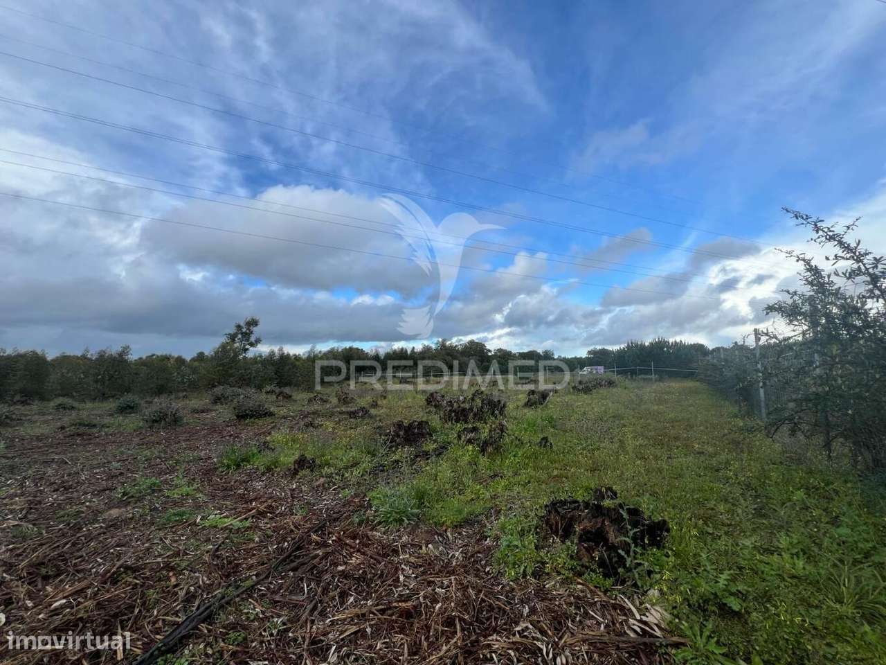 Terreno rústico na Lagoinha, em Palmela - Grande imagem: 3/8