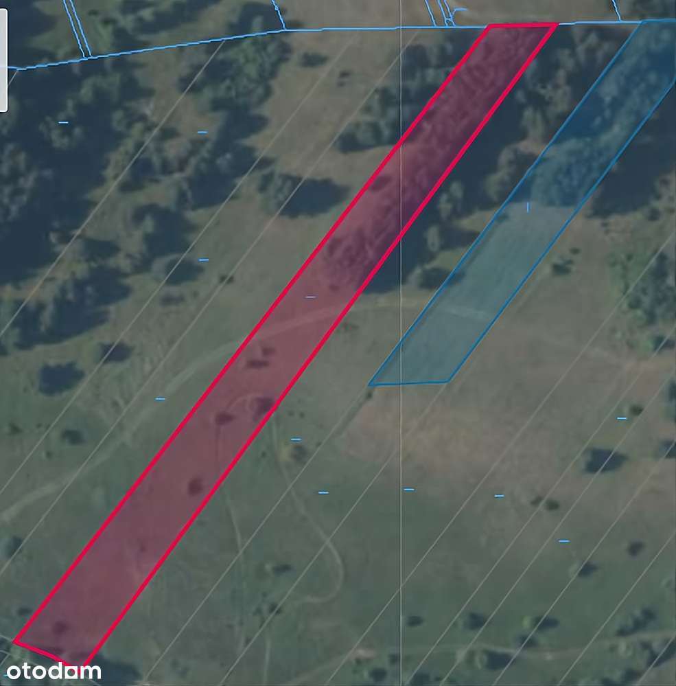 Sprzedam działkę budowlaną w Nowinach (woj. Świętokrzyskie) - Pełny obrazek: 3/8