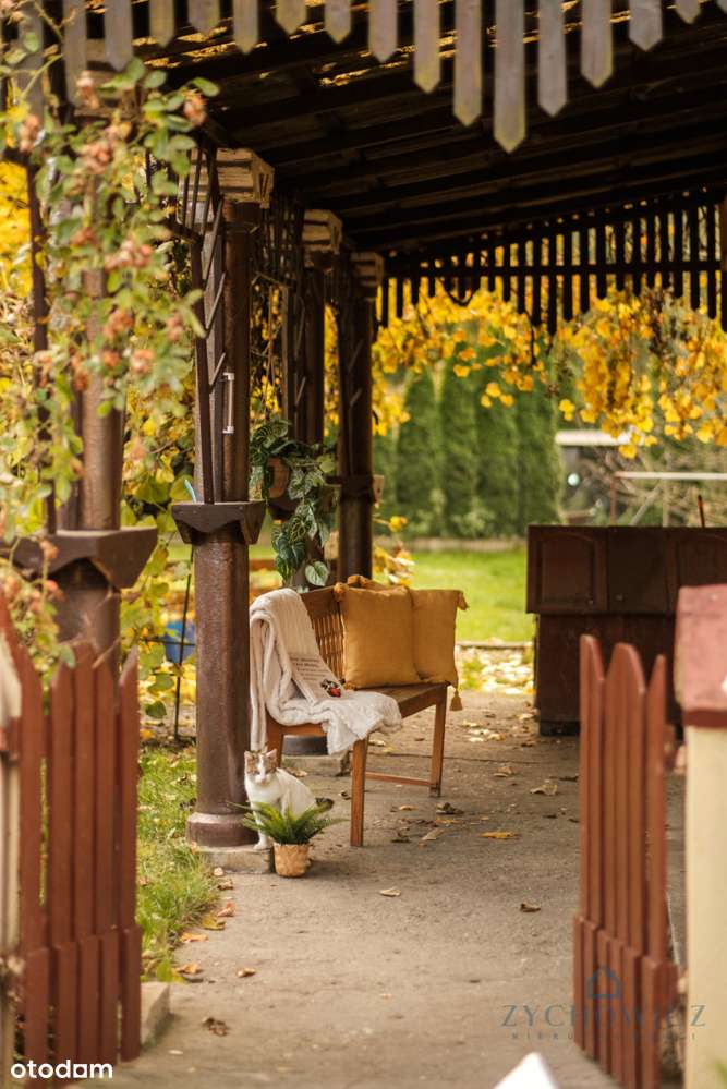 Dom po dawnym młynie nad Widawą - Pełny obrazek: 4/14