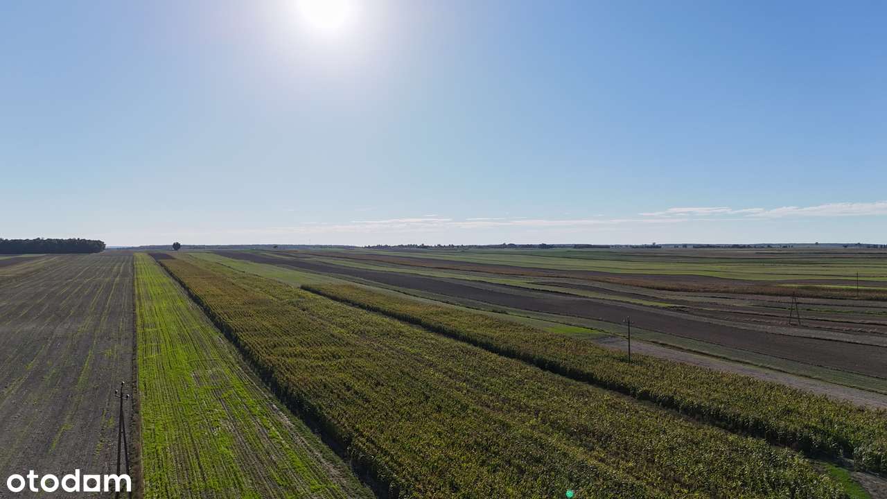 Czółna, Niedrzwica Duża- 6 działek budowlanych-6