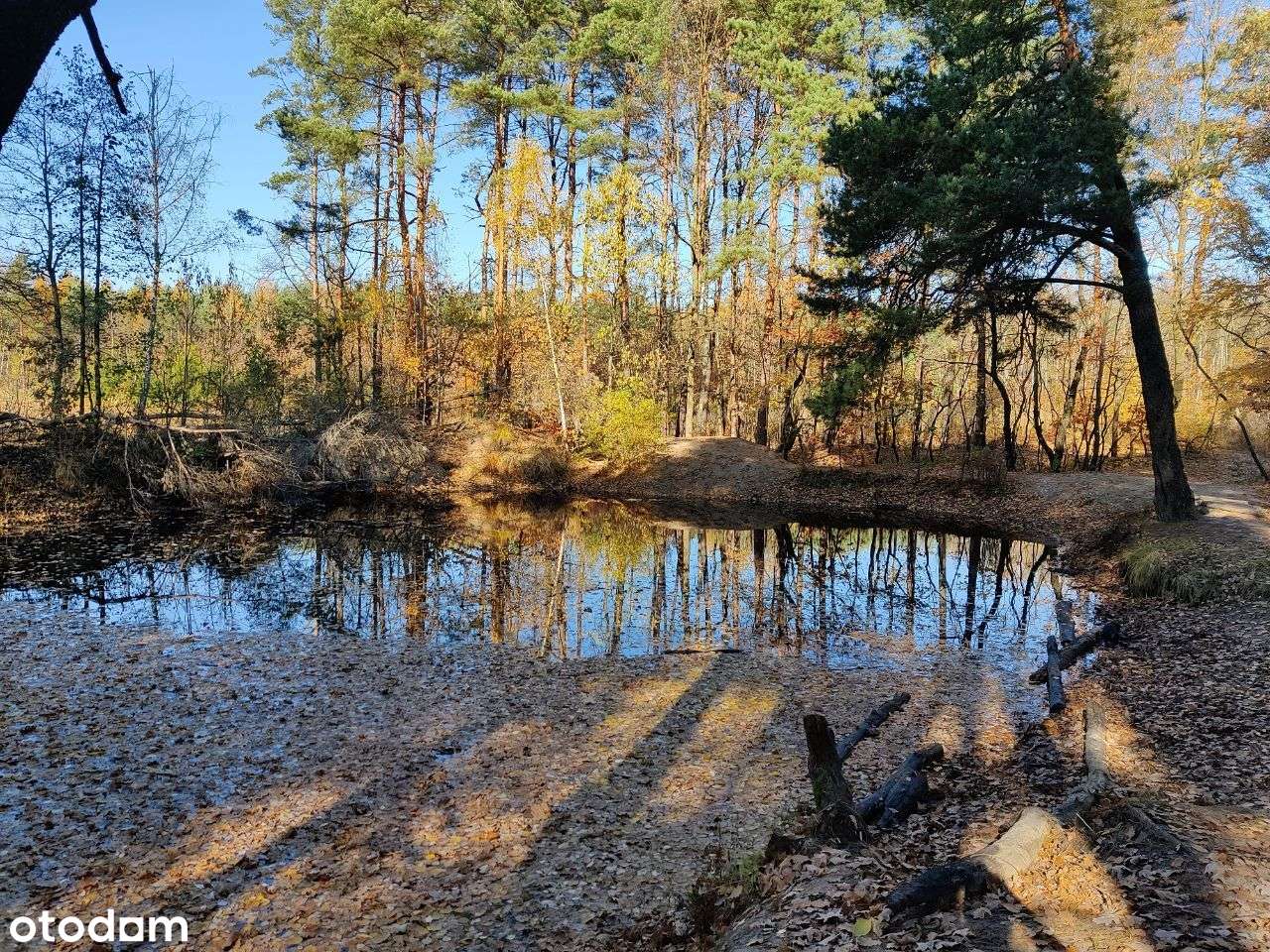 Piękna działka na sprzedaż Katowice Zarzecze - Pełny obrazek: 4/8