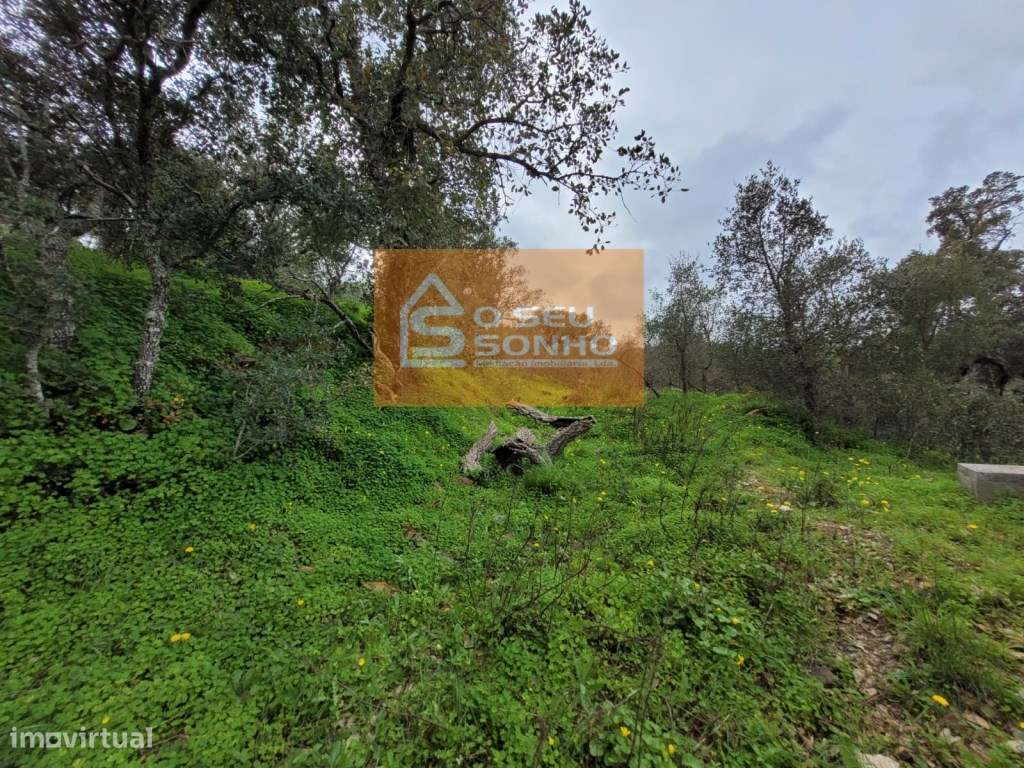 Terreno Rústico com 3.450 m²-14