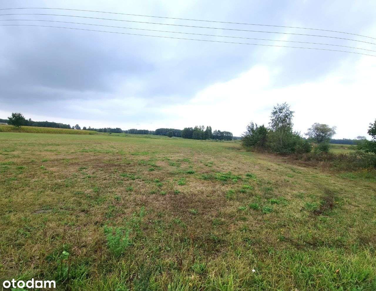 Działka siedliskowa blisko zamku w Tykocinie. - Pełny obrazek: 4/4