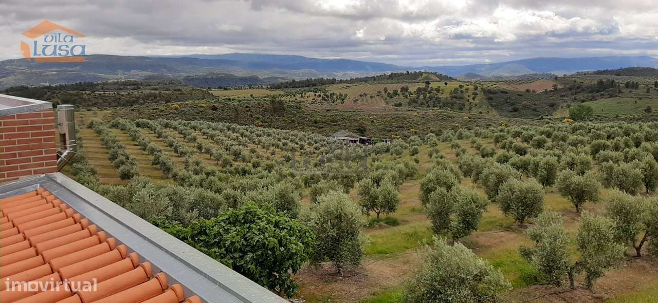 Quinta Mirandela com 12 hectares próxima do Rio Tua - Grande imagem: 3/27