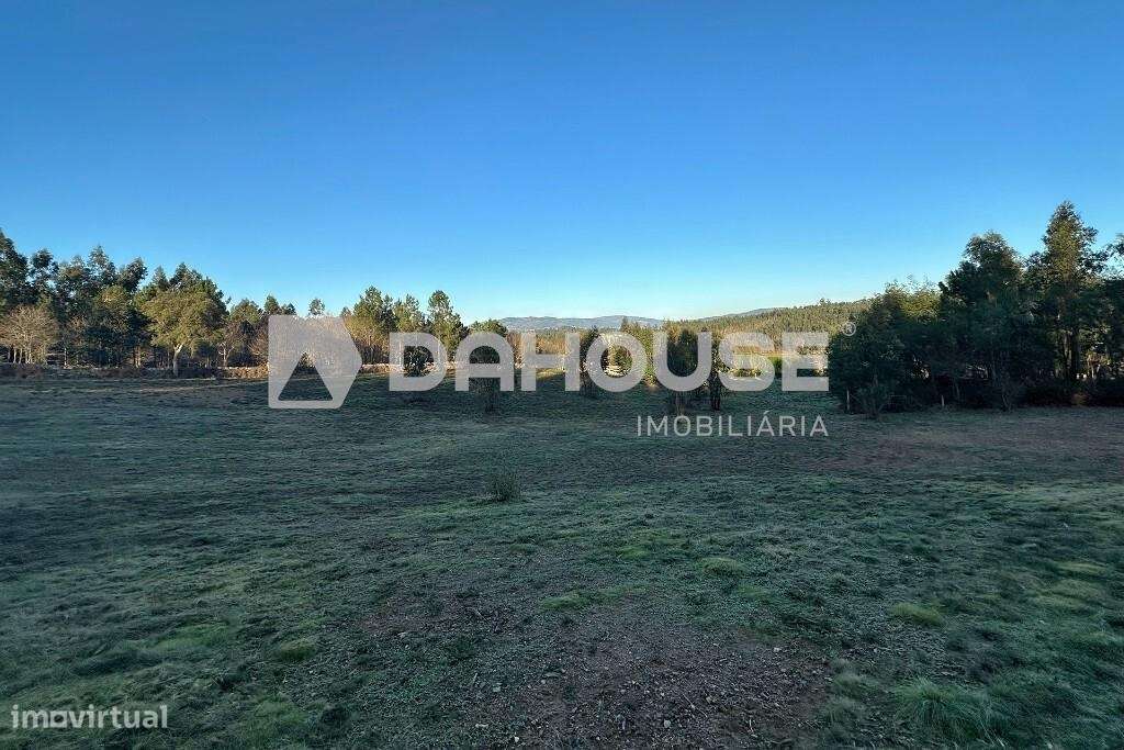 Terreno c/ 21.000 m2 em Sandiães, Ponte de Lima !! - Grande imagem: 4/27