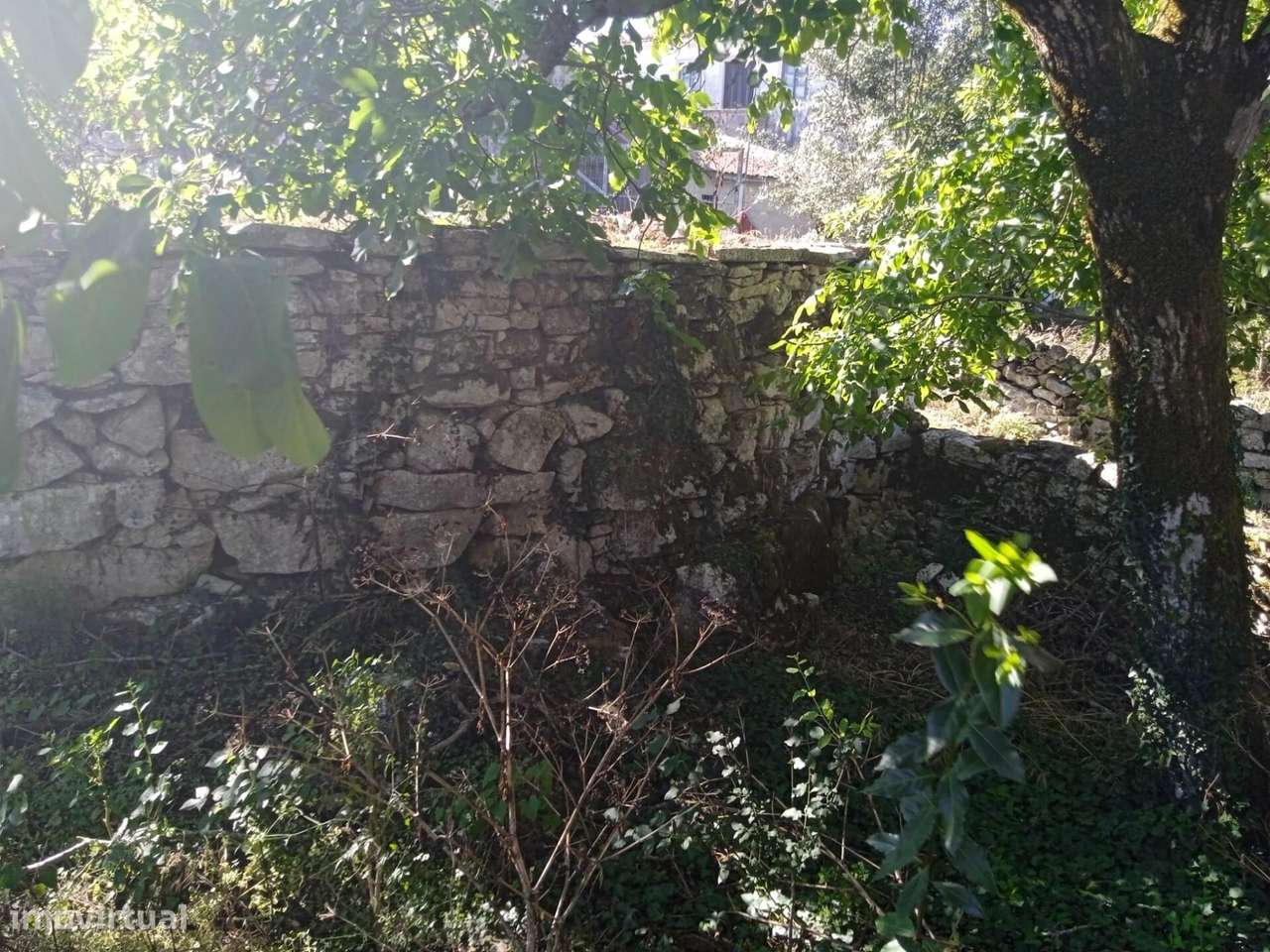 Terreno de 745m2 com Ruína em Pedra para Recuperar – Serra de Sicó, Co - Grande imagem: 4/11