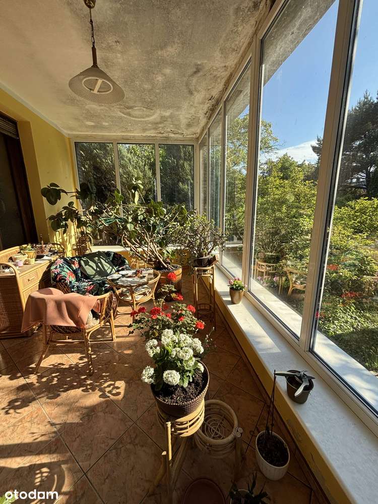 Stary Grunwald Przedwojenna solidna willa pow. 627 m2-6