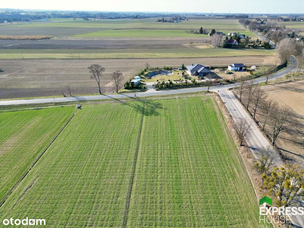 Działka 4870 m² pod dom i ogród – Witaniów Łęczna - Pełny obrazek: 5/10
