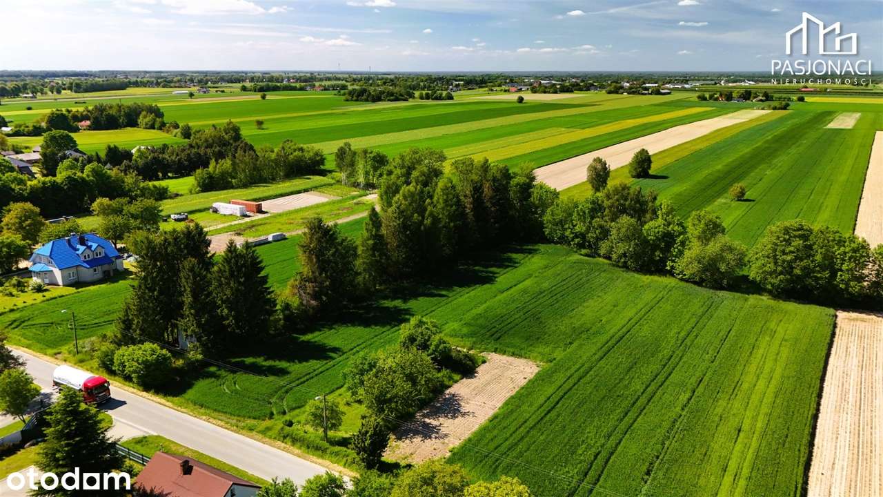 Duża działka budowlano-rolna Majdan Krasieniński - Pełny obrazek: 2/9