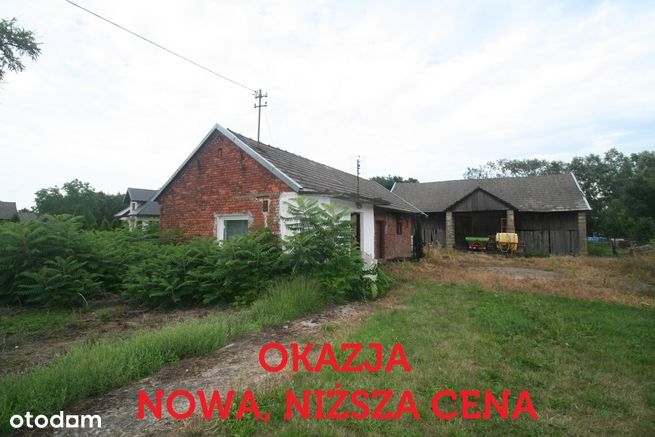 Dom ze stodołą na działce 20 ar w Marcinkowicach