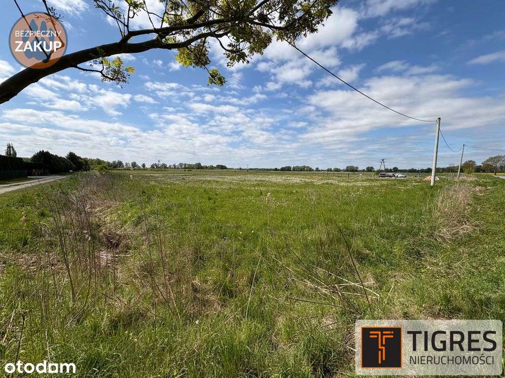 Kompleks 14 działek pod Elblągiem | Wydane Wz - Pełny obrazek: 5/5