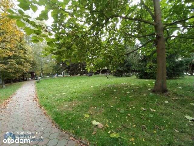 Dębina, 60,5 m, miejsce postojowe, komórka-14