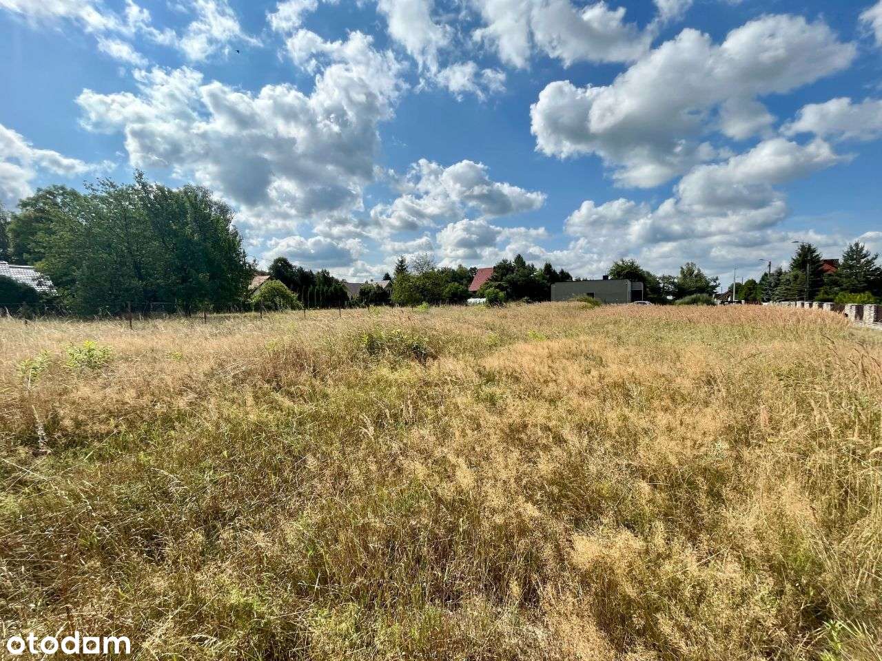 Piękna działka budowlana na Dąbrowie Narodowej - Pełny obrazek: 5/7