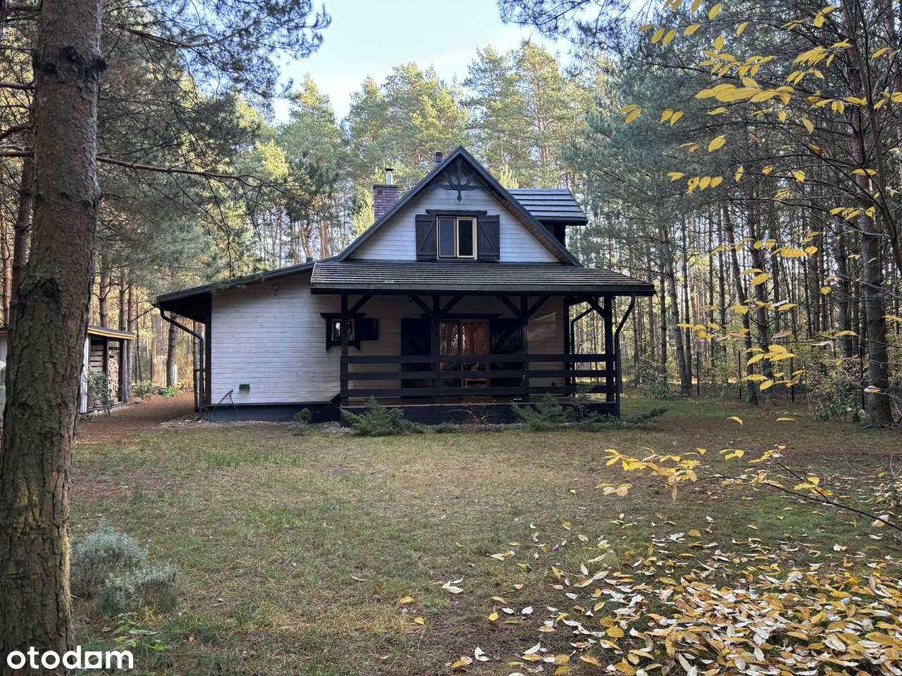Przepiękny całoroczny drewniany dom w lesie - Pełny obrazek: 5/20