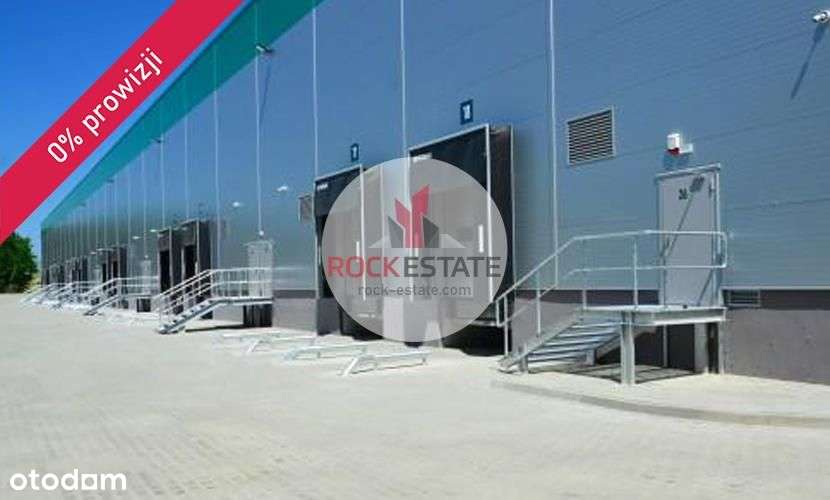 Magazyn 4200m2 Żerniki możliwa produkcja 0% prow. - Pełny obrazek: 5/9