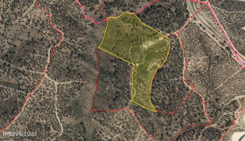 Quinta T0 Venda em Castelo Branco,Castelo Branco-16