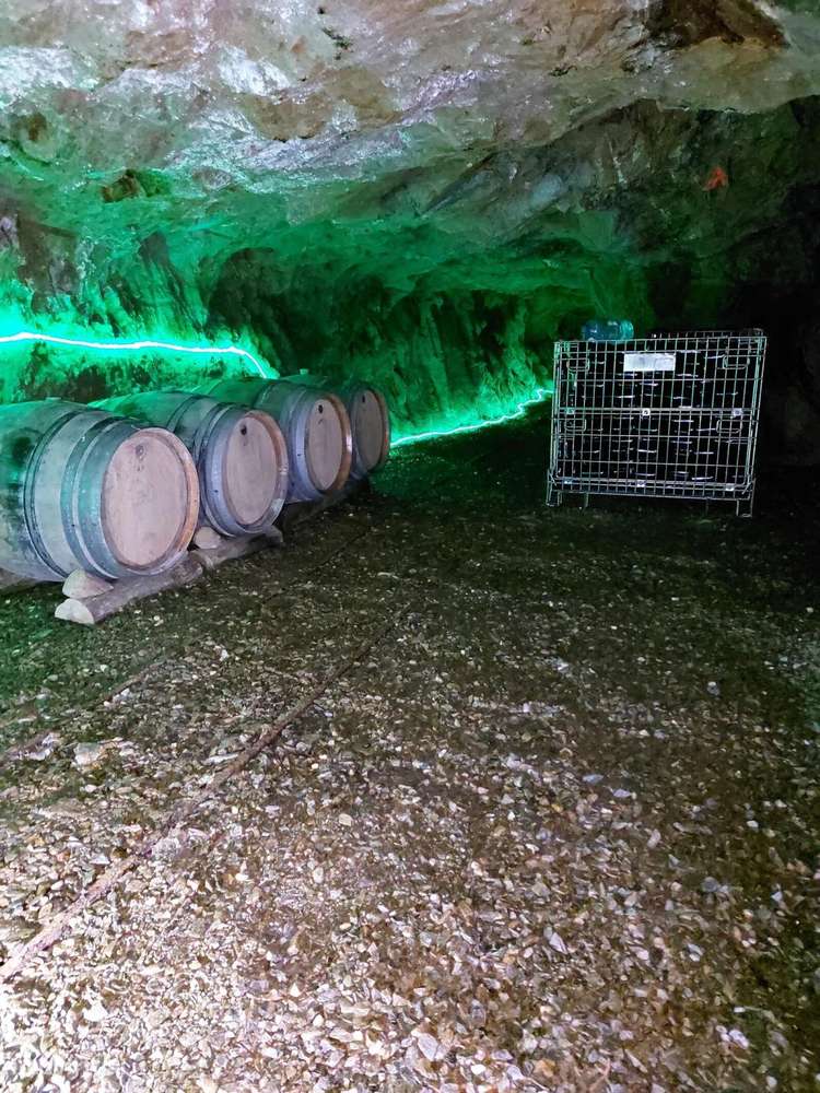 Quinta 5.3 ha, Covilhã-42