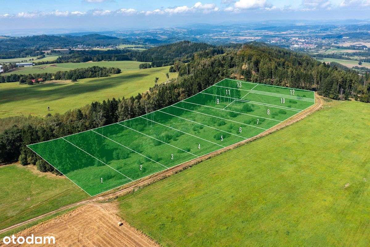 Działka widokowa z własnym lasem-7