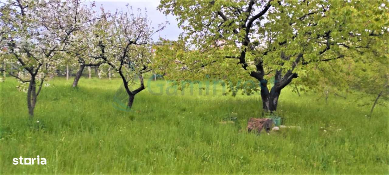 Teren de vanzare, zona Dealuri, Oradea, Bihor,Gaminvest,V3155A - Imagine principală: 4/5