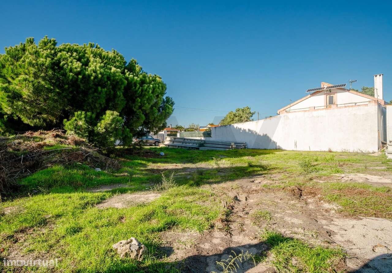 Terreno Rústico, no Pinhal das Formas, Quinta do Anjo, Palmela-1