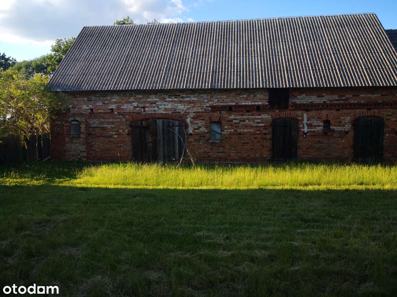 Siedlisko z potencjałem - dom, zabudowania, działka - Pełny obrazek: 4/6