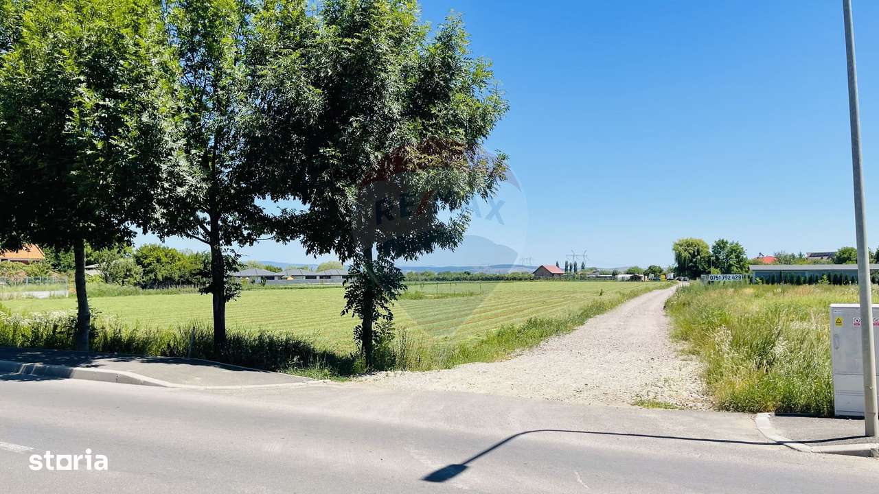 Teren intravilan 10.000 mp în Stupini, Brașov - Imagine principală: 2/9