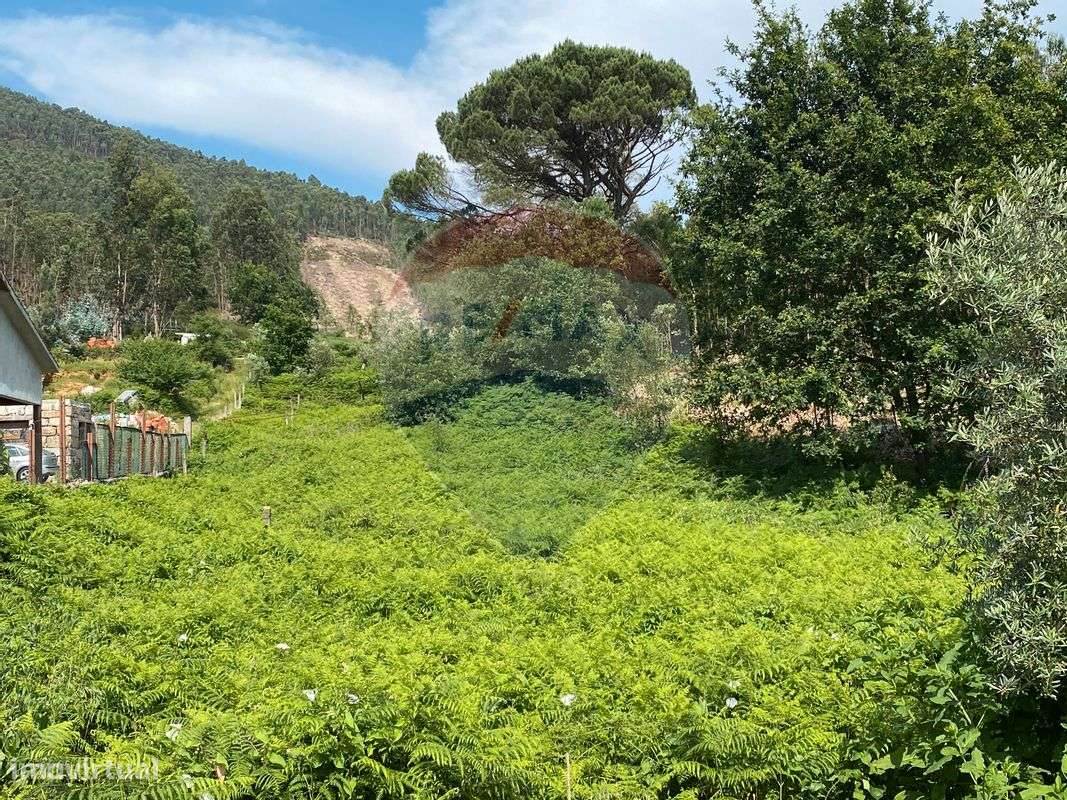 Terreno  para venda - Grande imagem: 4/12