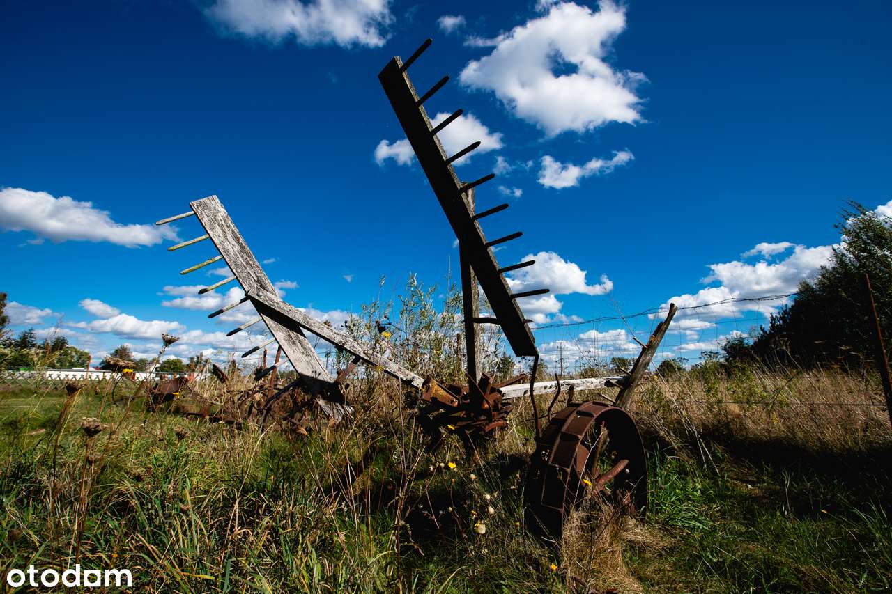 Dom i biznes w otoczeniu lasu-6