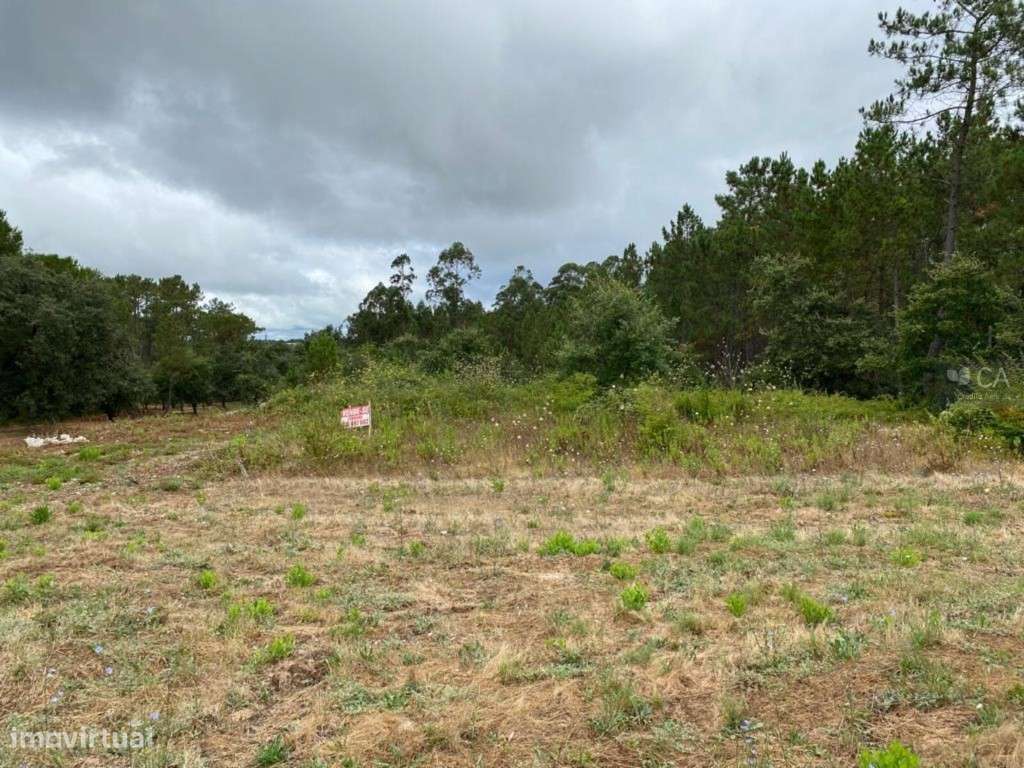 TERRENO - SOURE - Grande imagem: 2/9