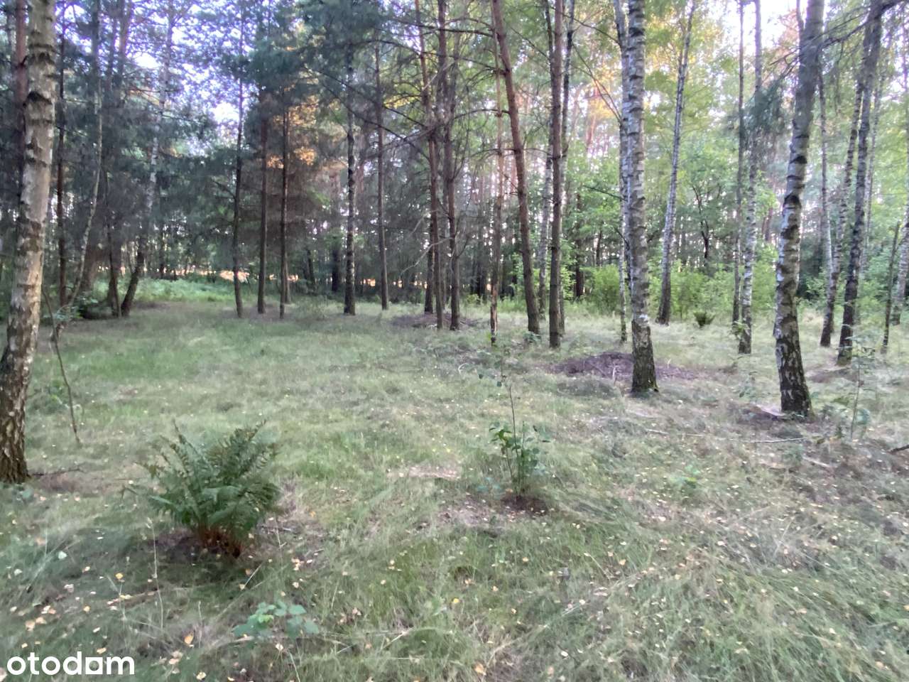 Sprzedam bezpośrednio działkę pod Serockiem- Kępiaste
