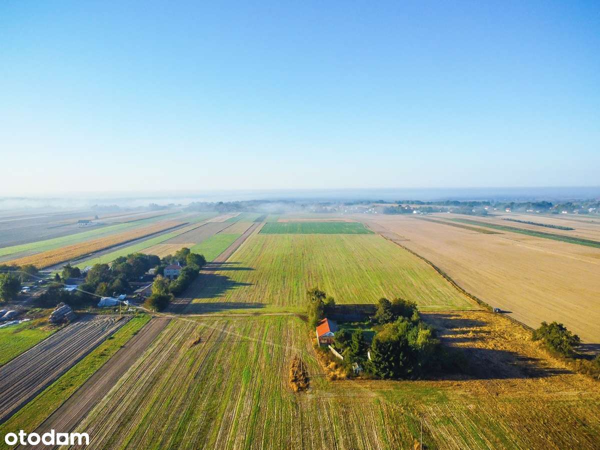 Wyjątkowo niska cena! 6km do Łęcznej, 30km do Lublina - Pełny obrazek: 4/10