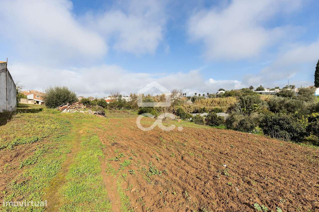 Quinta T5 de 0,9 ha com Moradias e Anexos | Torrão, Alcácer do Sal-45
