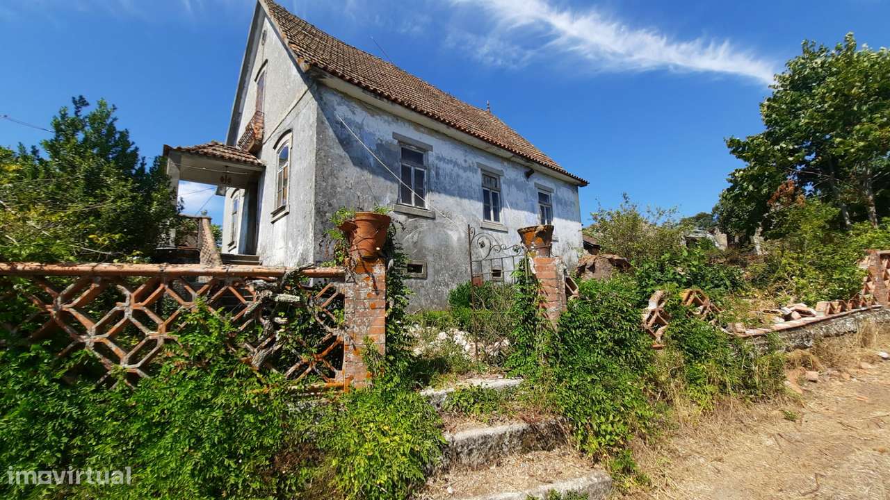 Quinta T5 Venda em Fornos de Maceira Dão,Mangualde - Grande imagem: 1/58