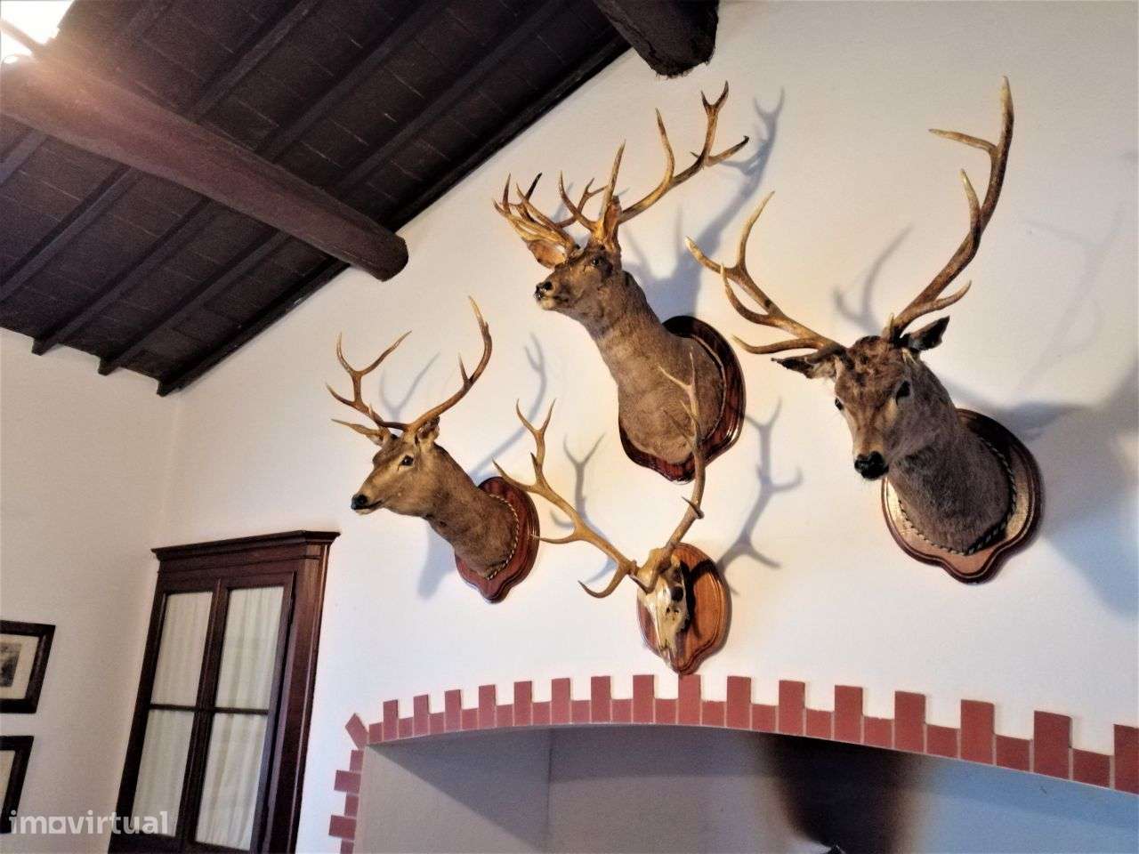 Quinta em Évora com 2,25 ha vocacionada para o mundo equestre-2